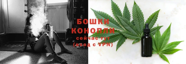 гидра Абаза