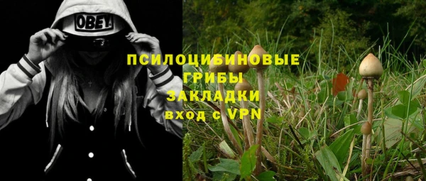 гидра Абаза