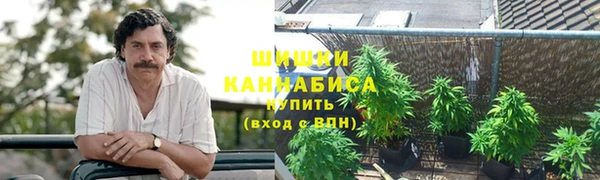 гидра Абаза
