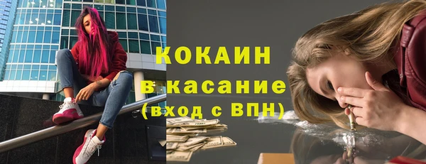 гидра Абаза